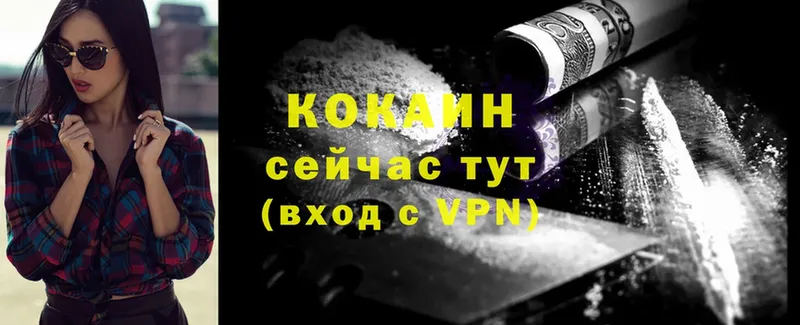 Cocaine FishScale  дарнет шоп  Новопавловск 